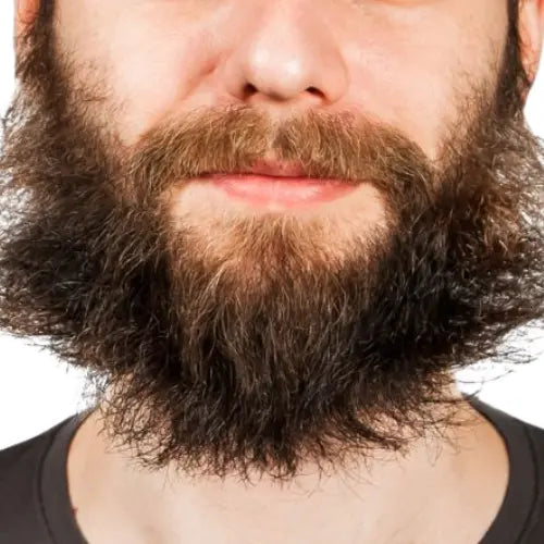 Beard
