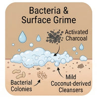 Acne-Causing Bacteria & Impurities