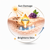 1st Month — Skin Renewal Begins