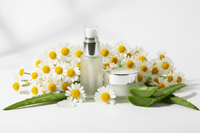 Soothing Botanicals (Chamomile / Aloe Extract)